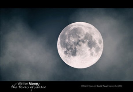 Winter_Moon_by_Shikaz.jpg